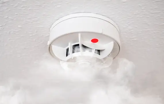 güvenlik-danısmanlıgı